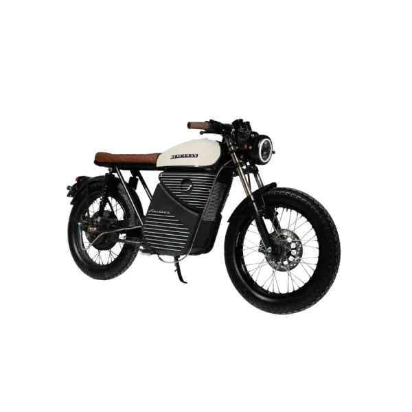 Beachman Electric Bike